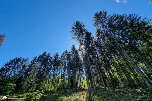 zum Vergrößern bitte anklicken!