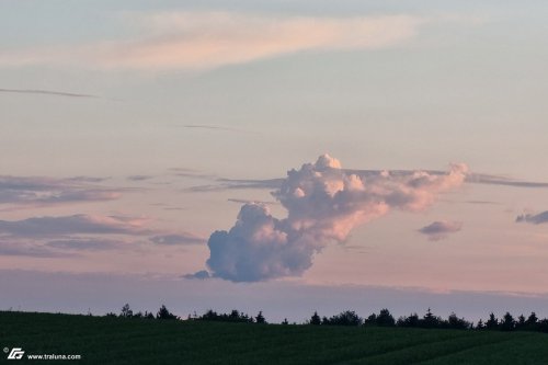 zum Vergrößern bitte anklicken!